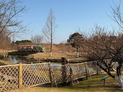 -长田漾湿地公园