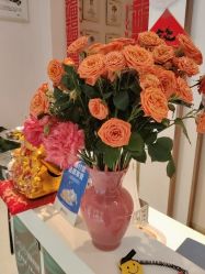 点击看大图 -Dr.林醫生产后修复·配方产康店(南京大厂店)