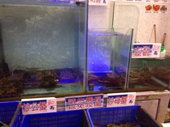 水产区-旅南活海鲜-屏东(墾丁海鮮，海鮮餐廳，墾丁團體合菜，平價熱炒，墾丁熱炒店，活海鮮推薦，在地海鮮餐廳)