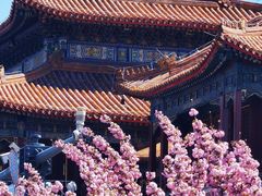 -潇湘阁(昆泰国际大厦店)