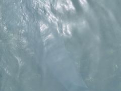 -天源渔港农庄