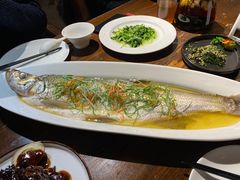 清蒸太湖白鱼-金枝玉叶上海人家食府(三里河店)