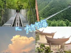 -阿露佳·舌尖上的安吉菜