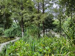 -成都市活水公园