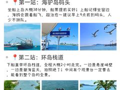 -海驴岛(荣成市)