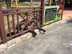 -灵玲国际马戏城