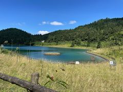 -武陵山森林公园