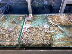 -四海蒸鲜蒸汽海鲜自助(北戴河店)