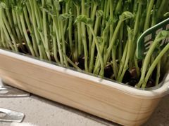 -海底捞火锅(银泰中心店)