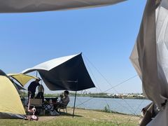 -春花秋色城市公园