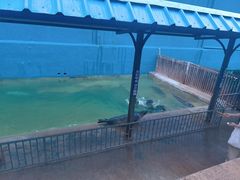 -蓬莱欧乐堡海洋极地世界
