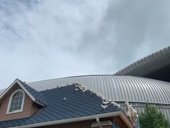 -烟台海昌鲸鲨海洋公园