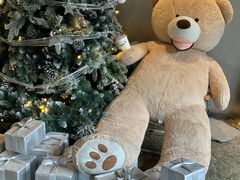 -J Create城市露营咖啡·简餐·宠物(上海动物园店)