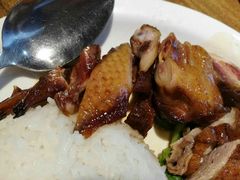 -初心烧鹅(粤华店)