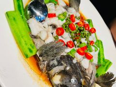 -老伙记海鲜码头(北滘店)