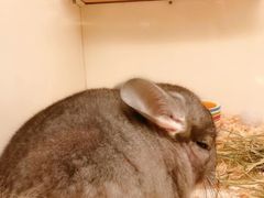 -龙猫仔乐园(惠福东路店)