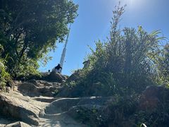 -梧桐山风景名胜区