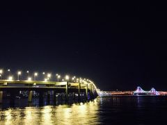 -星海湾跨海大桥