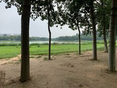 -秀水公园