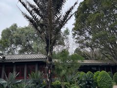 -攀枝花公园