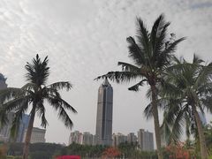 -万绿园