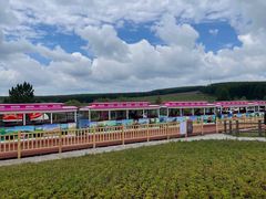 -塞罕坝国家级自然保护区