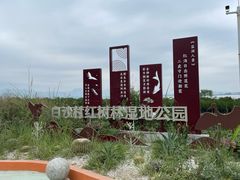 -盐洲岛