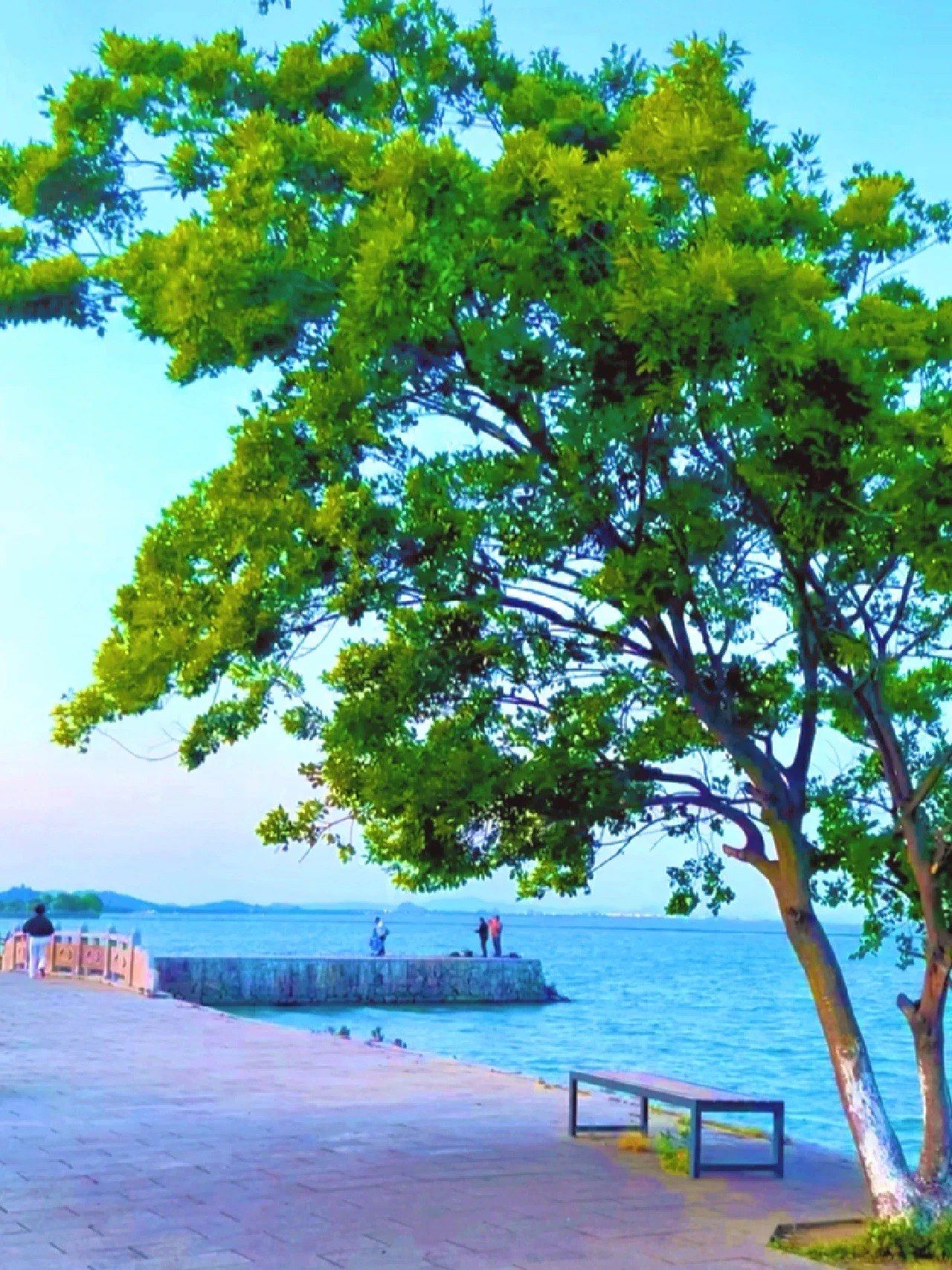 江浙沪暑假三日游97必去西山岛!超级好玩6015