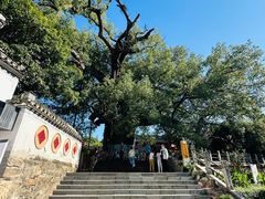 -新安江山水画廊风景区