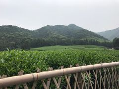 -听风阁农家私房菜茶楼(龙坞店)