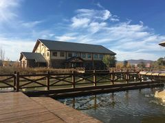 -塞罕坝国家级自然保护区