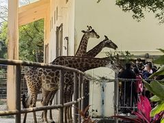 -南宁市动物园