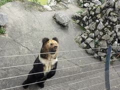 -成都动物园