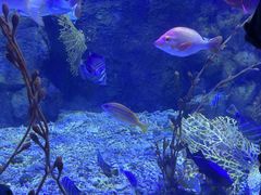 -太平洋海底世界