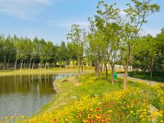 -东郊湿地公园
