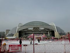 -沈阳奥体冰雪嘉年华
