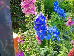 -方恒购物中心(望京小街店)