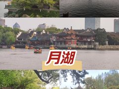 -月湖公园