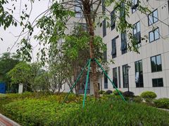 -深圳大学总医院