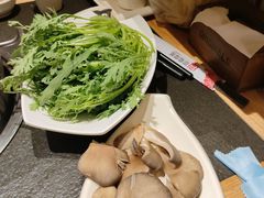 -蓉客成都火锅·招牌麻辣牛杂·特色香辣蹄花(凌水店)