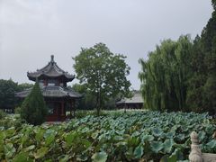 -莲池书院博物馆