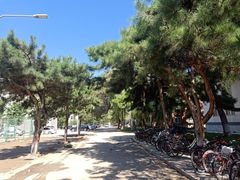 -东北大学(南湖校区)