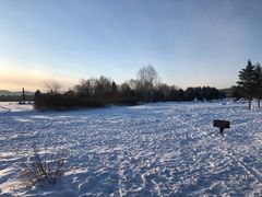 -北极村旅游风景区