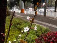 -重庆彩云湖湿地公园