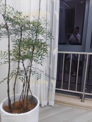 -HEYAN荷妍专业脱毛连锁机构