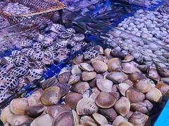 -青蓬蒸汽海鲜·深圳老字号·团建聚会(壹方城店)
