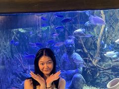 -华夏文旅海洋公园