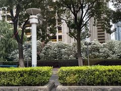 -金鸡湖景区
