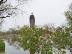 -西海子公园