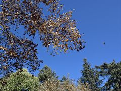 -文山荷鲜居(翠湖店)